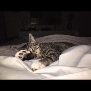 Meet your Posher, Jill